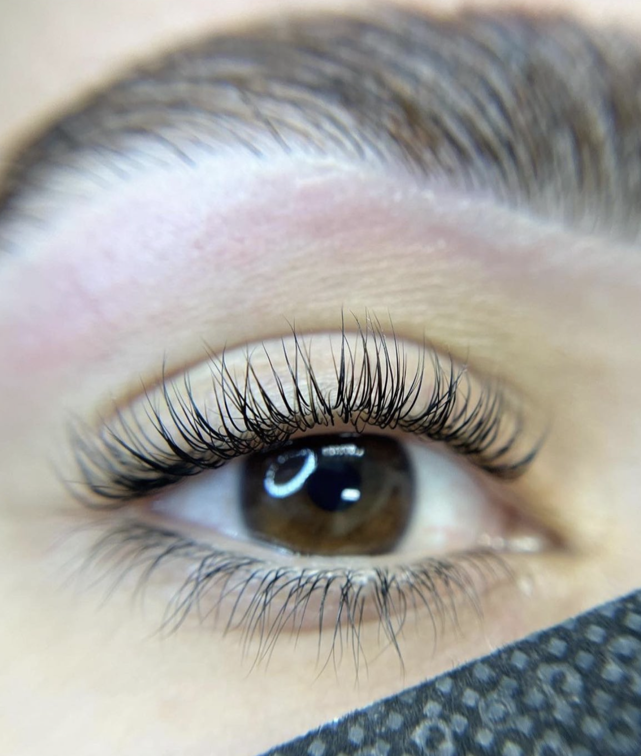 Professional eyelash extension services in Feasterville PA